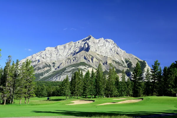 Гра в гольф в горах Rockie Банф — стокове фото