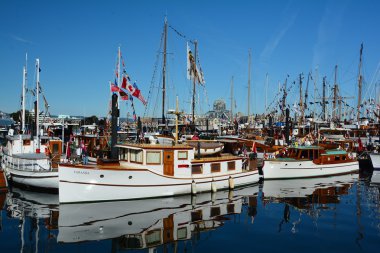 Victoria Classic Boat Festivali.
