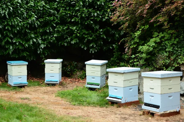 Улья пчеловода — стоковое фото