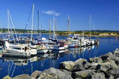 Meşe Bay marina