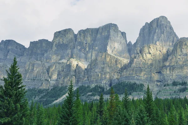 Mountain landscape of Banff National Park.