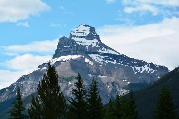 Гірський краєвид Banff Національний парк. — стокове фото