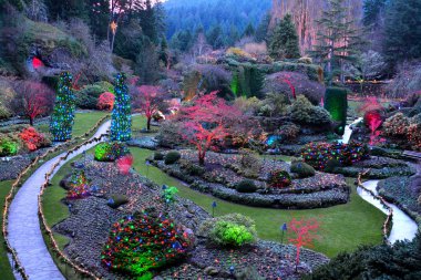 Noel Butcharty Gardens