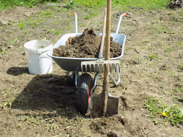 Una Carretilla Jardín Utiliza Para Formar Huerto Jardín Flores Tierra — Foto de Stock