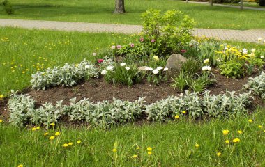 Beyaz ve kırmızı çiçekli iyi bakılmış çiçek bahçesi.
