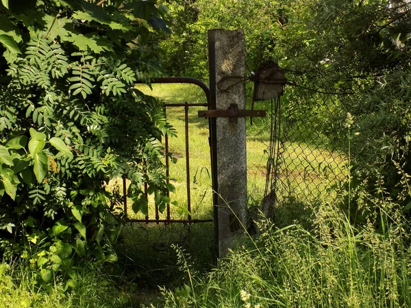 Eski Parka Dikkat Çekmeyen Bir Kapı Yeşillikler Çimenler Arasında Gizlidir — Stok fotoğraf