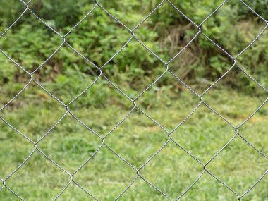 Rabitz. Yeşil çim ve çalılardan oluşan bir çit..