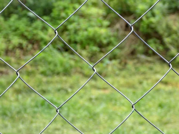 Chain-link mesh cells close-up. Green background from grass in the background.