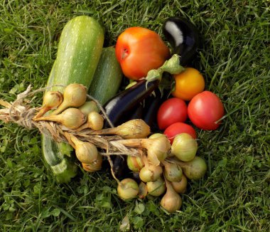 Yeşil çimenlerde sonbahar durgun: domates, soğan, patlıcan, kabak.