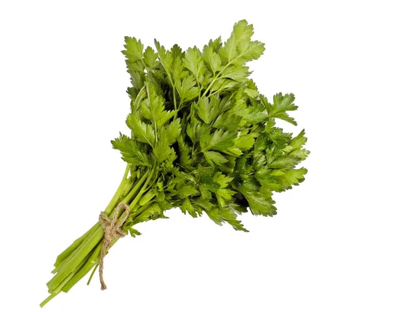 Bunch Fresh Parsley Tied Twine Isolated White — Stock Photo, Image