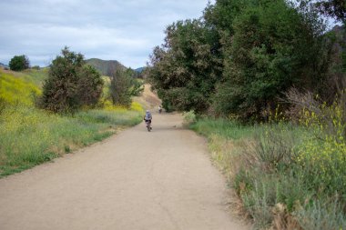 Malibu Creek Eyalet Parkı - 11 Mayıs 2019: 2019 'da Malibu Creek Parkı' nda turistler ve yürüyüşçüler. 2018 'deki Woolsey yangınları bölgede geniş çaplı yıkıma neden oldu ve birçok ağacı yaktı..
