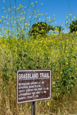 Malibu Creek Eyalet Parkı - 11 Mayıs 2019: 2019 'da Malibu Creek Parkı' nda turistler ve yürüyüşçüler. 2018 'deki Woolsey yangınları bölgede geniş çaplı yıkıma neden oldu ve birçok ağacı yaktı..