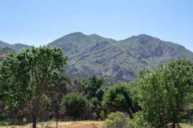 Malibu Creek Eyalet Parkı - 5 Mayıs 2019: 2019 'da Malibu Creek Parkı' nda turistler ve yürüyüşçüler. 2018 'deki Woolsey yangınları bölgede geniş çaplı bir yıkıma neden oldu ve birçok ağaç yaktı, ancak hala çok sayıda ağaç var ve bölge toparlanıyor. Turist
