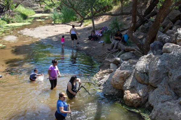 Malibu Creek Eyalet Parkı - 11 Mayıs 2019: 2019 'da Malibu Creek Parkı' nda turistler ve yürüyüşçüler. 2018 'deki Woolsey yangınları bölgede geniş çaplı yıkıma neden oldu ve birçok ağacı yaktı..