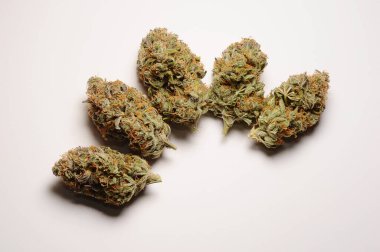 Marihuana tomurcukları yakın plan. Tıbbi esrarın beyaz arka planda çiçek açması, izole edilmiş. Kenevir rekreasyonu, tıbbi kullanım, yasallaştırma. 