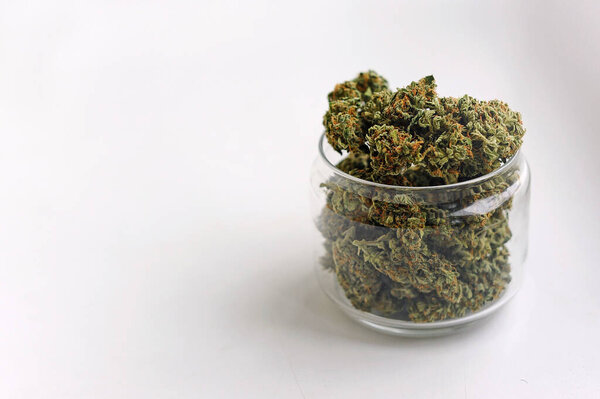 Хранение бутонов марихуаны Лекарственная конопля цветет на белом фоне, изолирован. Конопля отдых, медицинское использование, легализация. 