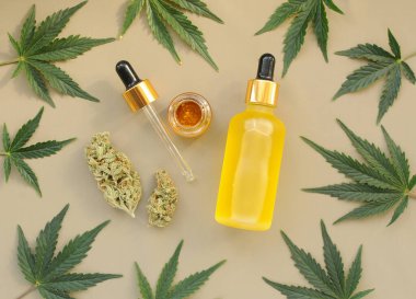 Gri arka planda esrar deseni. Marihuana tomurcukları, yapraklar ve reçine, düz düzlük, üst manzara. Kenevir rekreasyonu, eğlence, yasallaştırma konsepti. 