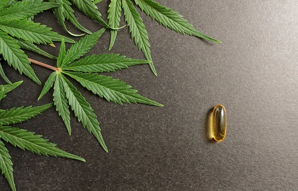 CBC yağlı tıbbi kenevir yaprakları. Tıbbi kapsüllerdeki marihuana yağı siyah arka planda izole edilmiş..