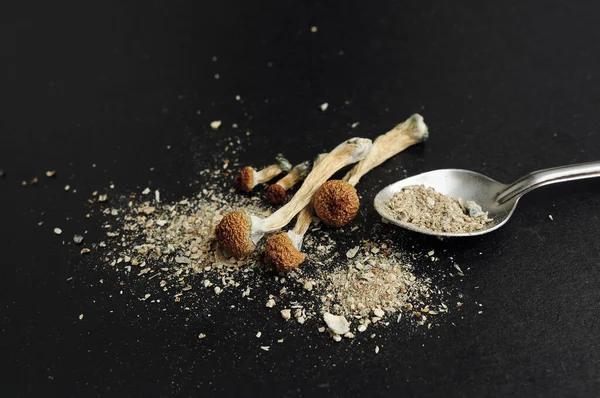 Mikrodoz konsepti. Siyah arka planda kuru psilosibin mantarları. Doğal organik takviye. Tıbbi kullanım. Psikedelik sihir gezisi. 