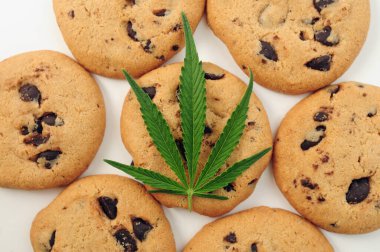 CBD yağlı tatlılar. Beyaz arka planda marihuana yaprağı. Kenevir yağı ve çikolatalı kurabiyeleri yakından çek. Üst manzara, düz uzanma.