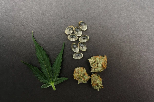 Tıbbi kenevir tomurcukları, taze yaprak ve cbd yağı. Tıbbi kapsüllerdeki marihuana yağı siyah arka planda izole edilmiş..