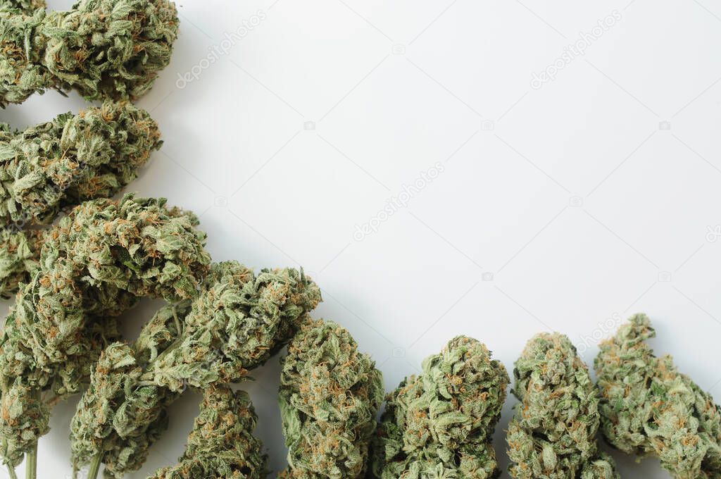 Marijuana buds close-up. Medicinal cannabis flowering on white background. Hemp recreation, medical use, legalization.