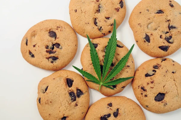 Snoep Met Cbd Olie Marihuana Blad Witte Achtergrond Cannabisolie Chocoladekoekjes — Stockfoto