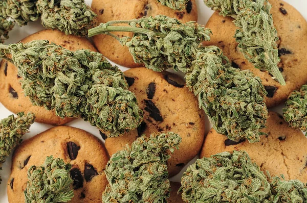 Snoep Met Cbd Olie Marihuana Knoppen Witte Achtergrond Cannabisbloemen Chocoladekoekjes — Stockfoto