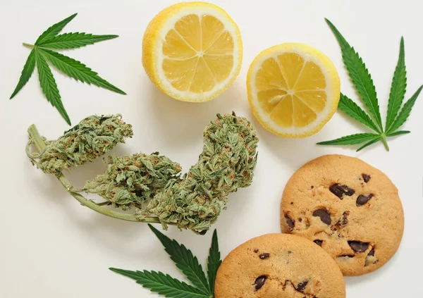 Chocoladekoekjes Met Cbd Olie Marihuana Knoppen Witte Achtergrond Cannabisbloemen Geïsoleerd — Stockfoto