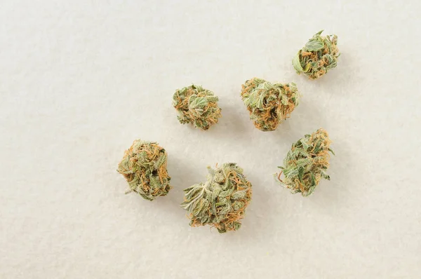 Botões Marijuana Fecham Cannabis Medicinal Floração Fundo Branco Cbd Recreação — Fotografia de Stock