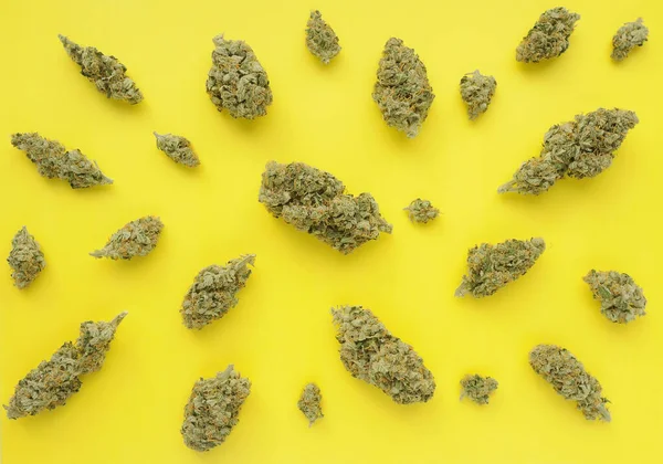 Padrão Maconha Fundo Amarelo Close Cannabis Secou Botões Vista Superior — Fotografia de Stock
