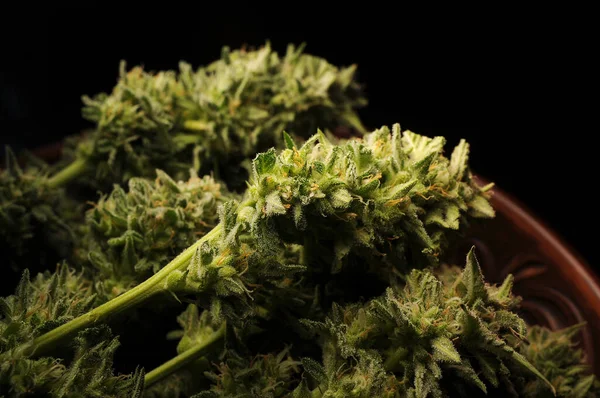 Marijuana Buds Dish Cannabis Flowers Black Background Weed Recreational Canna — Stock Photo, Image