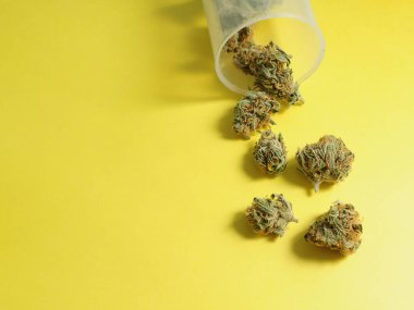 Marihuana mikro doz konsepti. Sarı arka planda plastik bardakta esrar tomurcukları. CBD terapisi, tıbbi kullanım. Doğal antidepresan, üst görünüm, düz yatış.