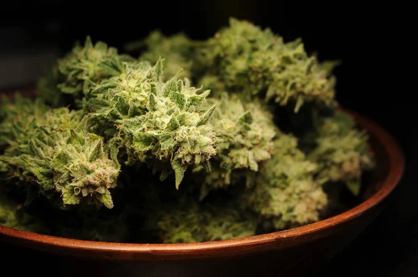 Sušené Přírodní Marihuany Květiny Detailní Pěstování Konopí Čas Sklizně Oříznutý — Stock fotografie
