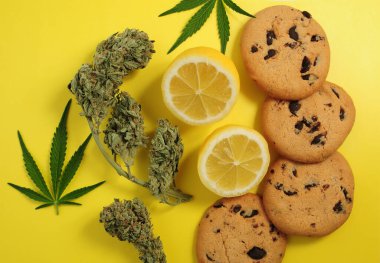 Yenilebilir kenevir. CBD yağlı çikolatalı kurabiye. Sarı arka planda limon aromalı marihuana tomurcukları. Kenevir yaprakları ve çiçekler yakın planda izole edilmiş.