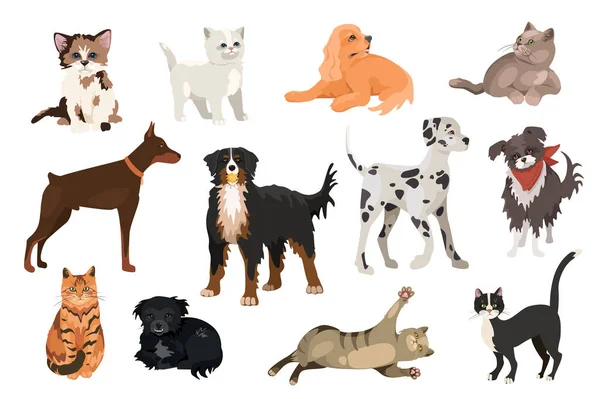 Gatos e cães design elementos set. Coleção de animais de estimação de diferentes raças, Doberman, Mountain Dog, Dalmatian, gatinhos brincalhões e filhotes de cachorro. Ilustração vetorial objetos isolados em estilo cartoon plano — Vetor de Stock