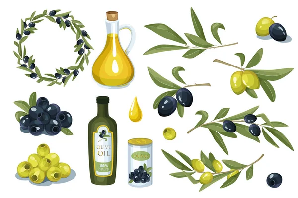 Oliivit ja öljy design elementit asetettu. Kokoelma hedelmiä eri värejä oliiveja, öljyä pullossa tai kannu, seppele ja lehdet ja oksia. Vektori kuva eristetty esineitä tasainen sarjakuva tyyli — vektorikuva