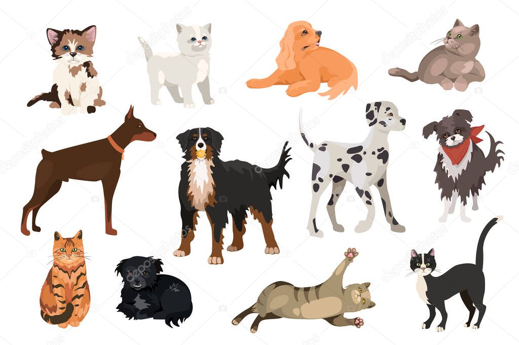 Cats and dogs design elements set. Collection of pets of different breeds, Doberman, Mountain Dog, Dalmatian, playful kittens and puppies. Vector illustration isolated objects in flat cartoon style
