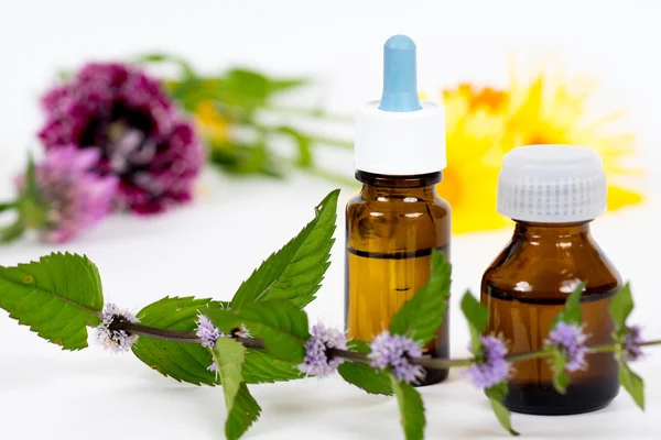 Bottles with oil for aroma therapy — Stock Photo, Image