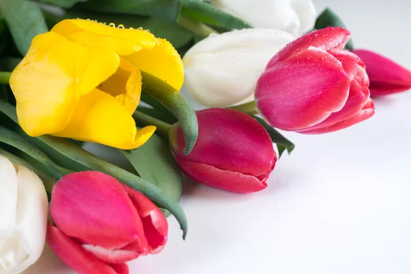 Buquê de tulipas vermelhas, brancas e amarelas — Fotografia de Stock