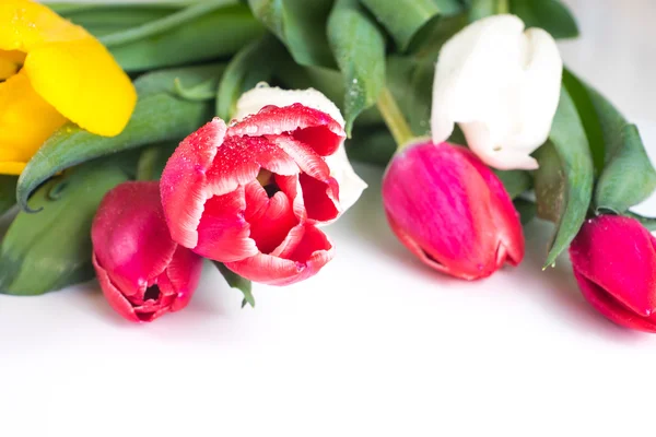 Buquê de tulipas vermelhas, brancas e amarelas — Fotografia de Stock