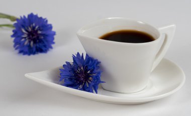 kahve fincanı ile mavi Peygamber Çiçeği