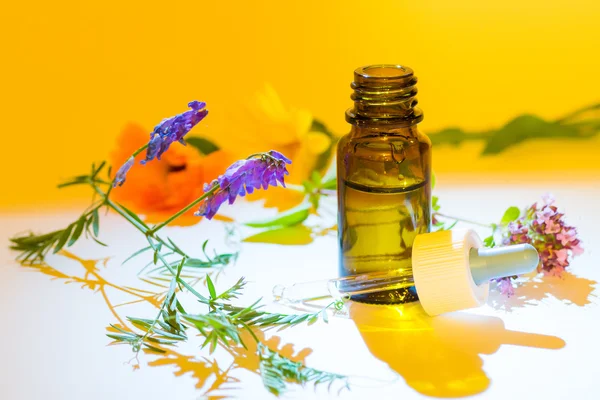Herbal medicine liquid on colorful — Stock Photo, Image