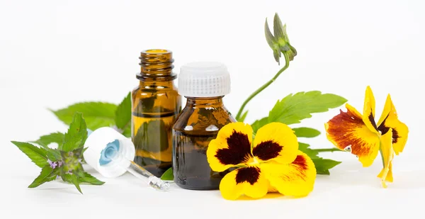 Bottles with herbal oil — Stock Photo, Image