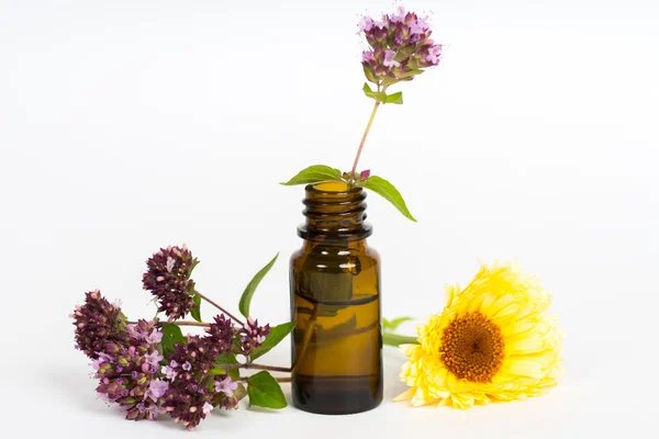 kekik ve calendula organik şampuan