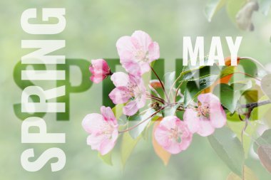 kartpostal bahar arka plan ile olabilir