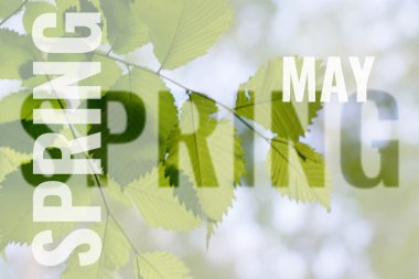 kartpostal bahar arka plan ile olabilir