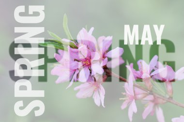 kartpostal bahar arka plan ile olabilir