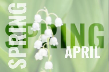 Bahar arka plan ile Nisan kartpostal