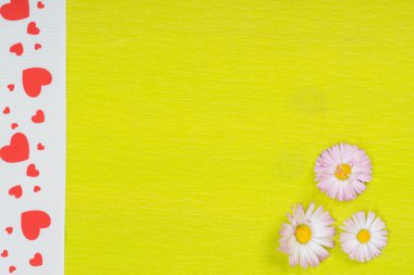 Daisy kireç kağıt üzerinde